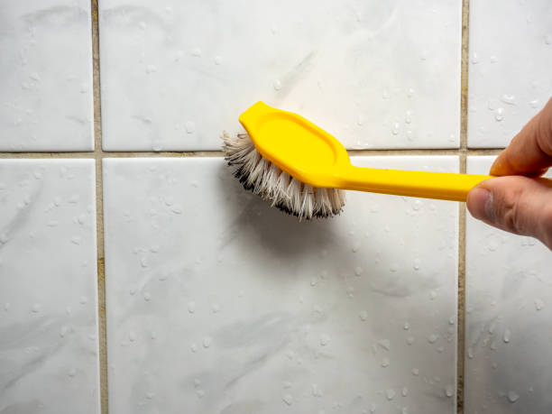 Best Mold Cleaning Services  in Branchville, SC